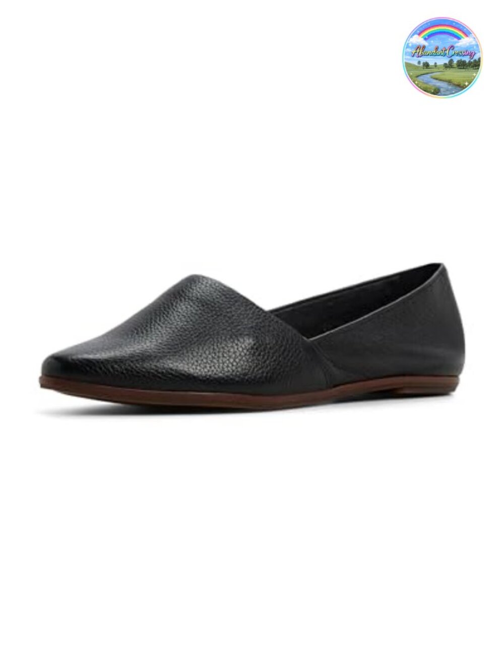 ALDO Blanchette Leather Slip-On Flat Loafer Women's Pointed Toe Cushioned